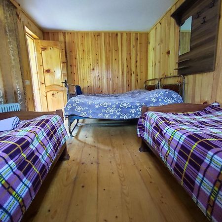 Adishi Guest House Zhora Kaldani المظهر الخارجي الصورة