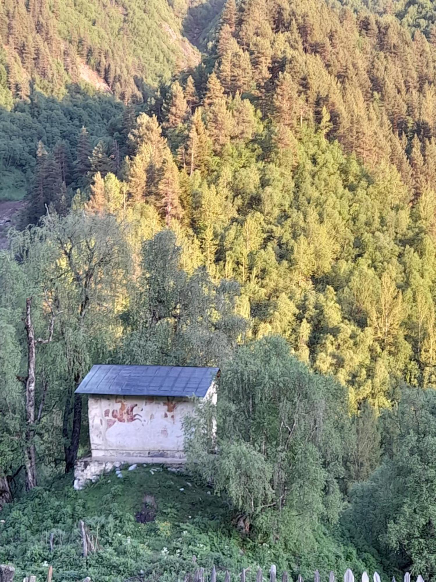 Adishi Guest House Zhora Kaldani المظهر الخارجي الصورة